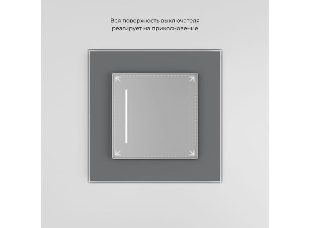 Умный сенсорный выключатель одноклавишный серебряный W4513006