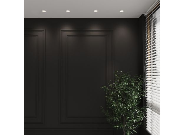 Встраиваемый точечный светильник 25008/01