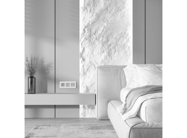 Выключатель одноклавишный с подсветкой (серебряный матовый) W1110165