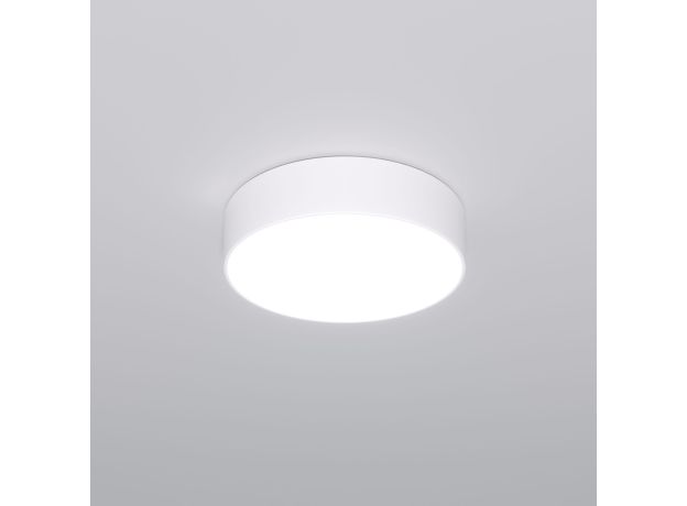 Потолочный светильник 90318/1 белый