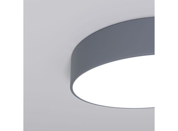 Потолочный светильник 90318/1 серый