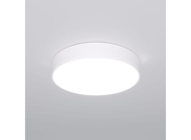 Потолочный светильник 90319/1 белый