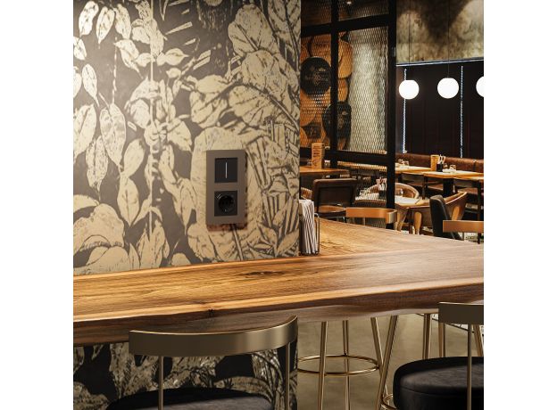 Рамка из поликарбоната на 2 поста Slab бронза софт W0022963