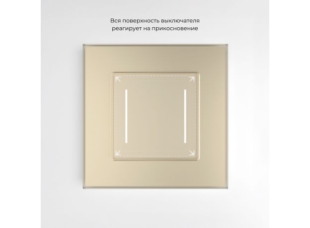 Сенсорный выключатель двухклавишный с подсветкой (шампань) W4522011