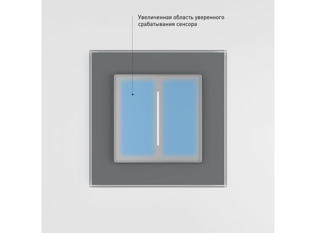 Умный сенсорный диммер серебряный W3443106