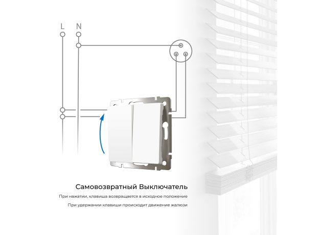 Выключатель двухклавишный с самовозвратом (белый матовый) W1122461