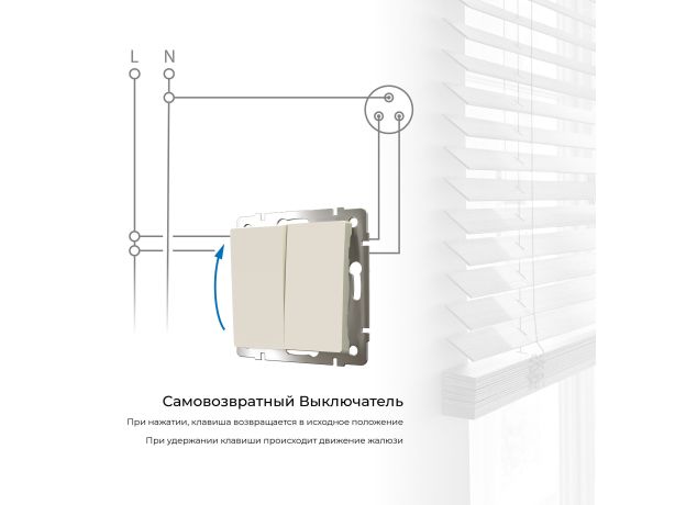 Выключатель двухклавишный с самовозвратом (слоновая кость) W1122403