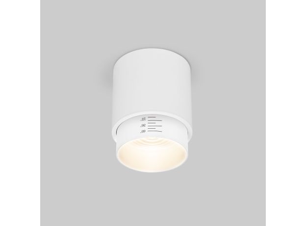 Потолочный светодиодный светильник Cors 25032/LED 10W 4200K белый