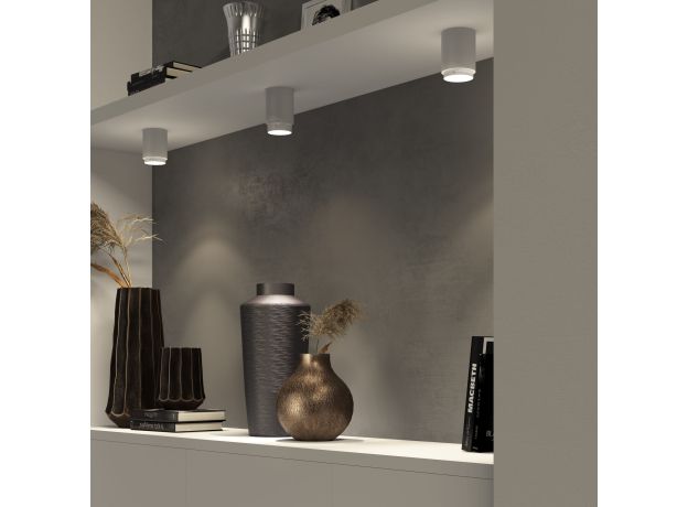 Потолочный светодиодный светильник Cors 25032/LED 10W 4200K белый