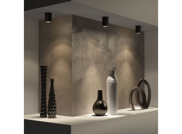 Потолочный светодиодный светильник Cors 25032/LED 10W 4200K чёрный