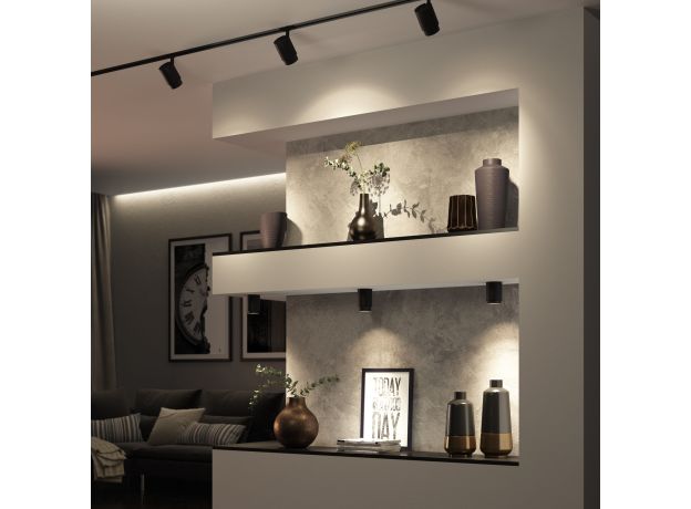 Потолочный светодиодный светильник Cors 25032/LED 10W 4200K чёрный