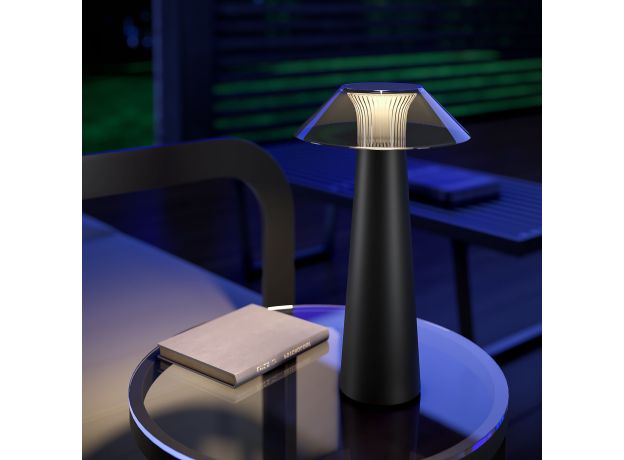 Настольный светильник Future TL70200