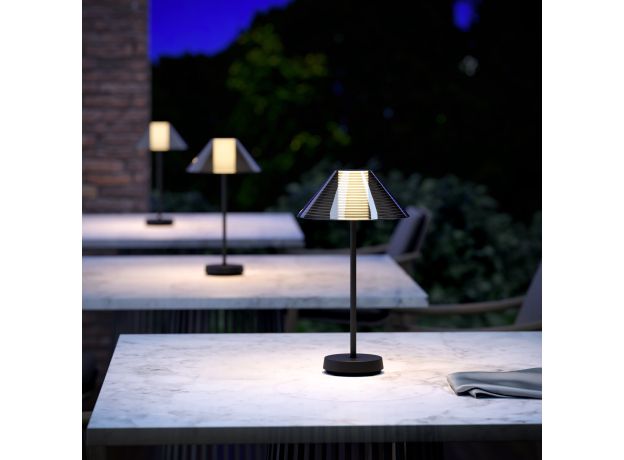 Настольный светильник Mistery TL70210