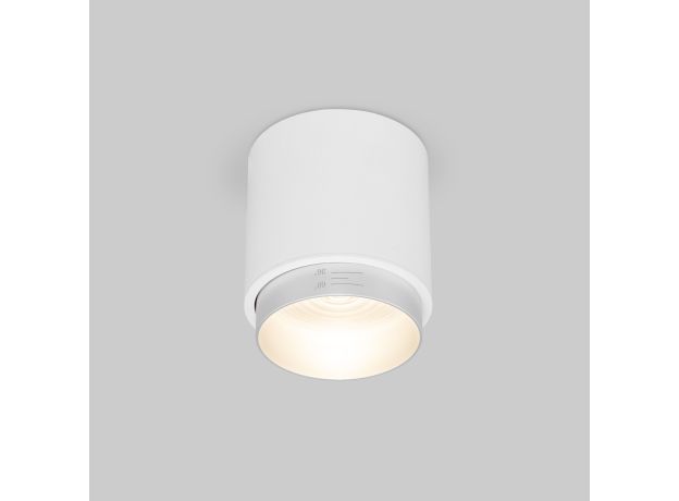 Потолочный светодиодный светильник Cors 25032/LED 10W 4200K белый/серебро