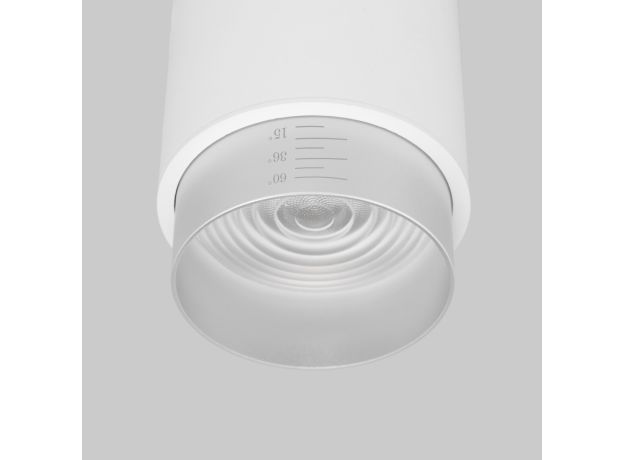 Потолочный светодиодный светильник Cors 25032/LED 10W 4200K белый/серебро