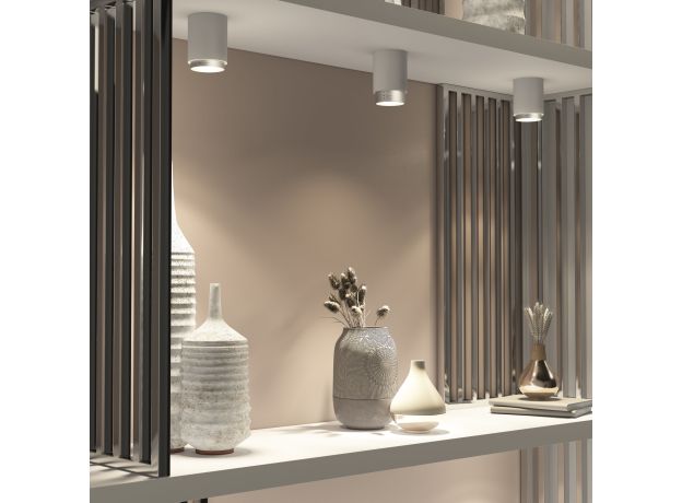 Потолочный светодиодный светильник Cors 25032/LED 10W 4200K белый/серебро