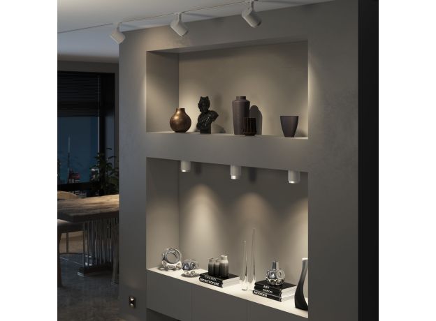 Потолочный светодиодный светильник Cors 25032/LED 10W 4200K белый/серебро