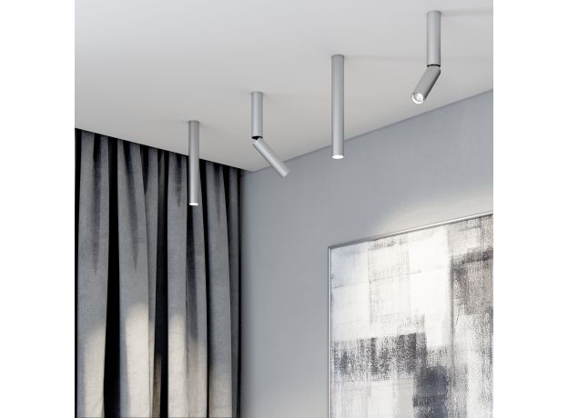 Накладной потолочный светильник 25030/LED 6W 4200K серебро