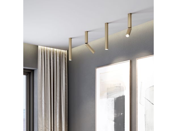 Накладной поворотный светодиодный светильник Pika 25029/LED 6W 4200K латунь