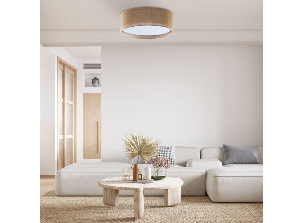 Потолочный светильник 6584 Juta