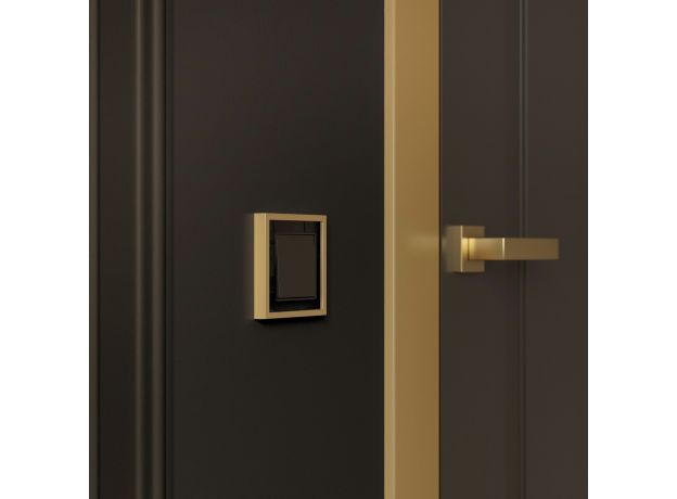 Рамка из металла на 1 пост Baguette черный/латунь W0012852