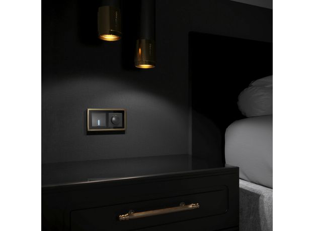 Рамка из металла на 2 поста Baguette черный/латунь W0022852