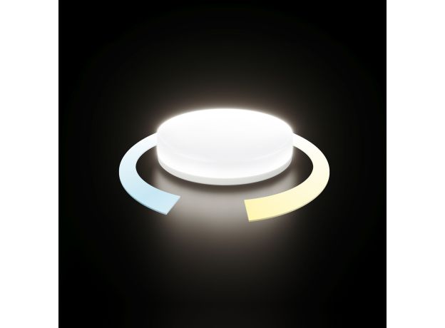 Умная светодиодная лампа BLGX5316