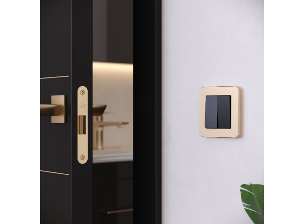 Рамка из металла на 1 пост Platinum шампань W0012611