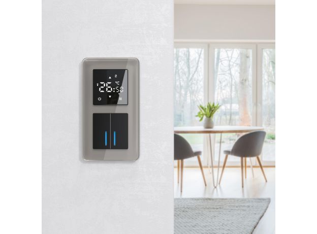 Рамка из стекла на 2 поста Elite дымчатый W0022417