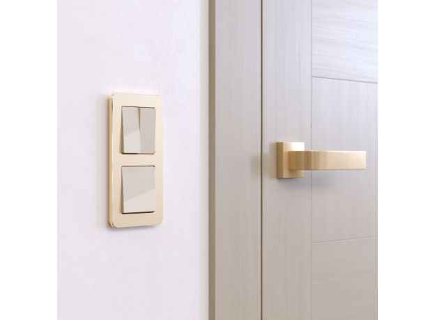 Рамка из металла на 2 поста Platinum шампань W0022611