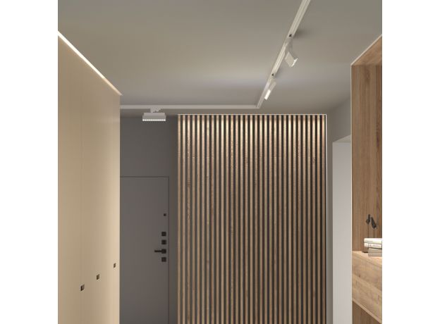 Трековый светодиодный светильник для однофазного шинопровода Garda белый 20 Вт 4200K 85018/01