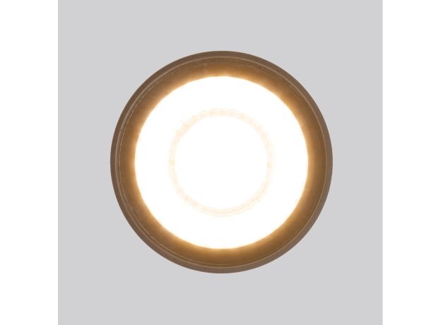 Уличный потолочный светильник Light LED 2105 IP54 35132/H черный