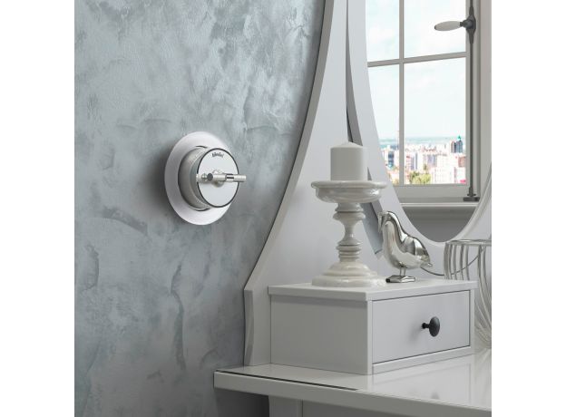 Переключатель/выключатель одноклавишный Vintage серебро матовый/хром W5812054