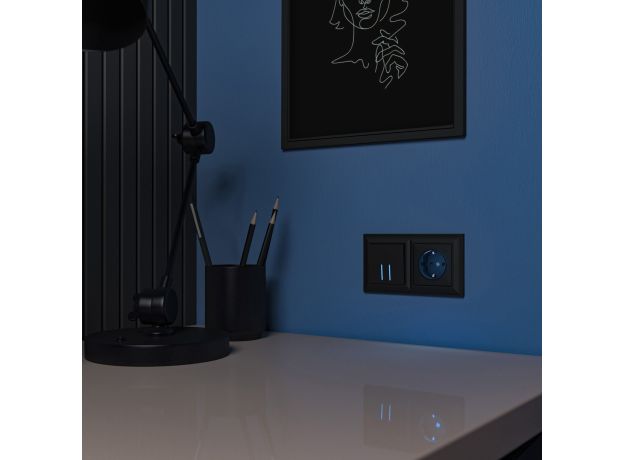 Розетка с подсветкой (черный матовый) W1171408