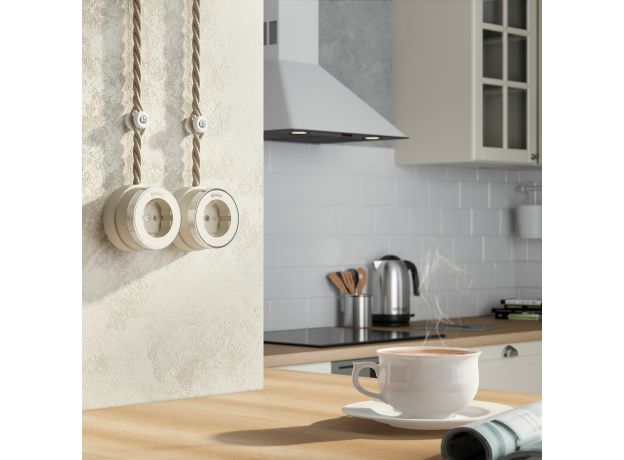 Розетка с заземлением Vintage слоновая кость матовый/хром W5871055