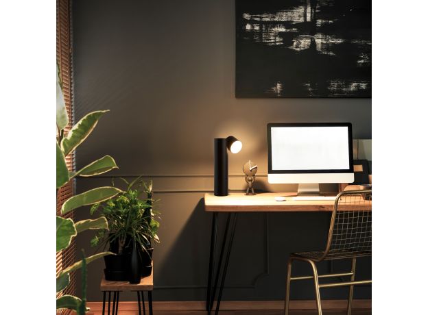 Светодиодная настольная лампа 80425/1 черный