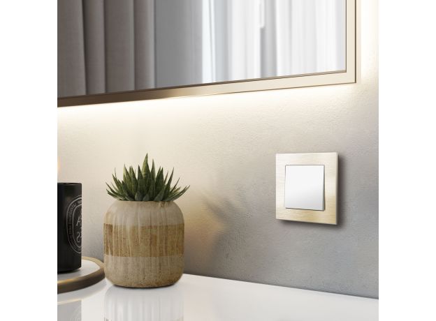 Рамка из металла на 1 пост Аluminium шампань алюминий W0011711