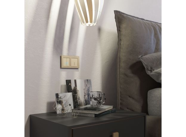 Рамка из металла на 2 поста Аluminium шампань алюминий W0021711