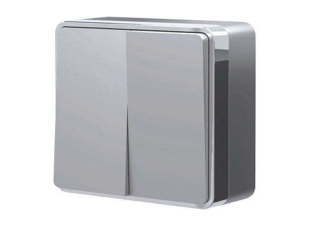 Выключатель двухклавишный Gallant серебряный W5020006