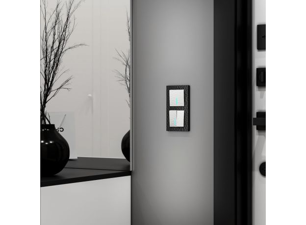 Выключатель двухклавишный с подсветкой (Hammer белый) W1220101