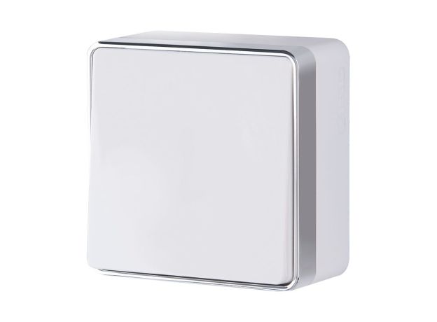 Выключатель одноклавишный проходной Gallant белый W5012001