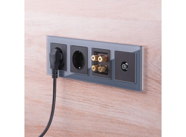 ТВ-розетка проходная (черный матовый) W1184008