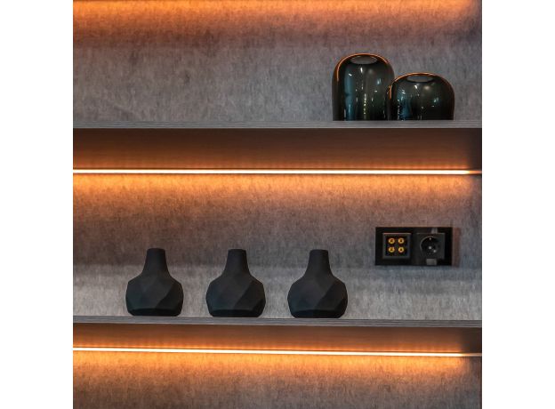 Акустическая розетка (черный матовый) W1185008