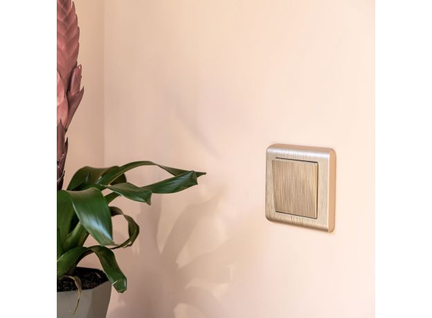 Клавиша для выключателя перекрестного (шампань рифленый) W1119010