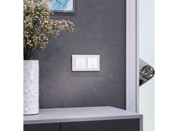 Рамка из стекла на 2 поста Favorit белый матовый W0021105