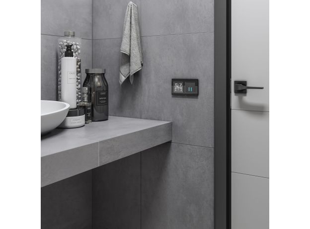 Рамка из стекла на 2 поста Favorit черный W0021108