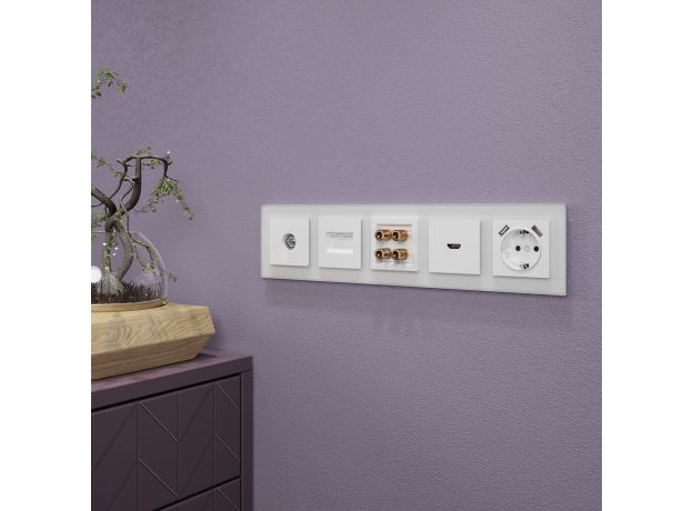 Рамка из стекла на 5 постов Favorit белый матовый W0051105