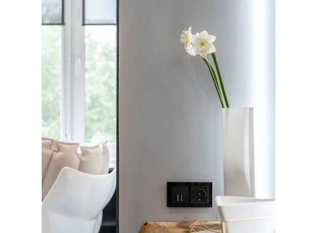 Розетка с заземлением (черный матовый) W1171008