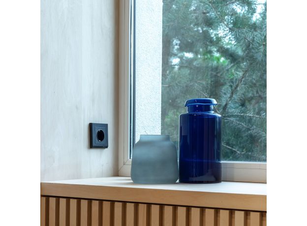 Розетка с заземлением (черный матовый) W1171008