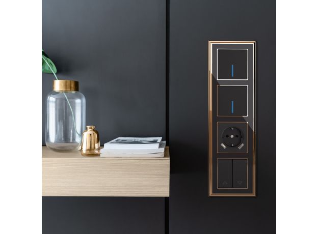 Розетка с заземлением, шторками и USBх2 (черный матовый) W1171508